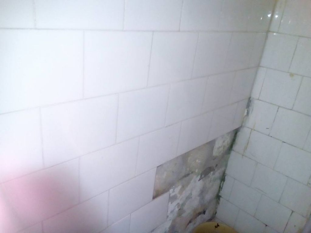 Liceul Teoretic Panait Cerna, Brăila